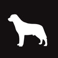 Labrador Retriever AKC Embroidered Visor