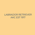 Labrador Retriever Embroidered AKC Quarter Zip