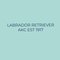 Labrador Retriever Embroidered AKC Quarter Zip