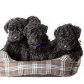 AKC Breeder Reports