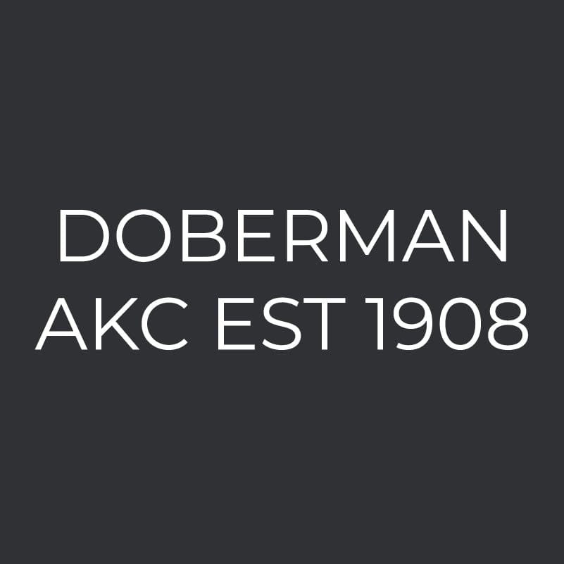 Doberman Pinscher Embroidered AKC Men's Polo