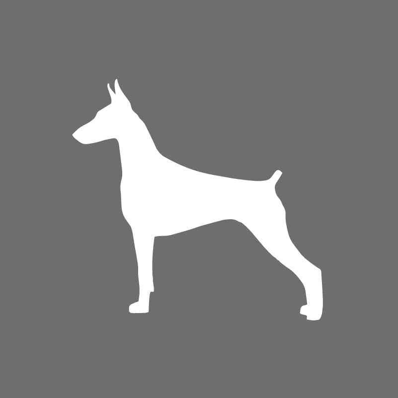 Doberman Pinscher Embroidered AKC Men's Polo