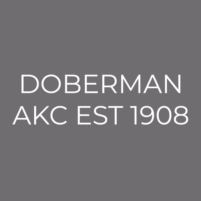 Doberman Pinscher Embroidered AKC Men's Polo