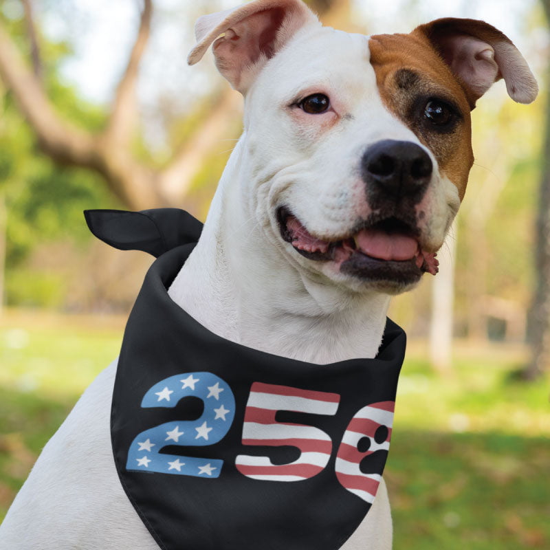 250 Paw - Doggie Bandana