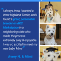 AKC Marketplace for Breeders