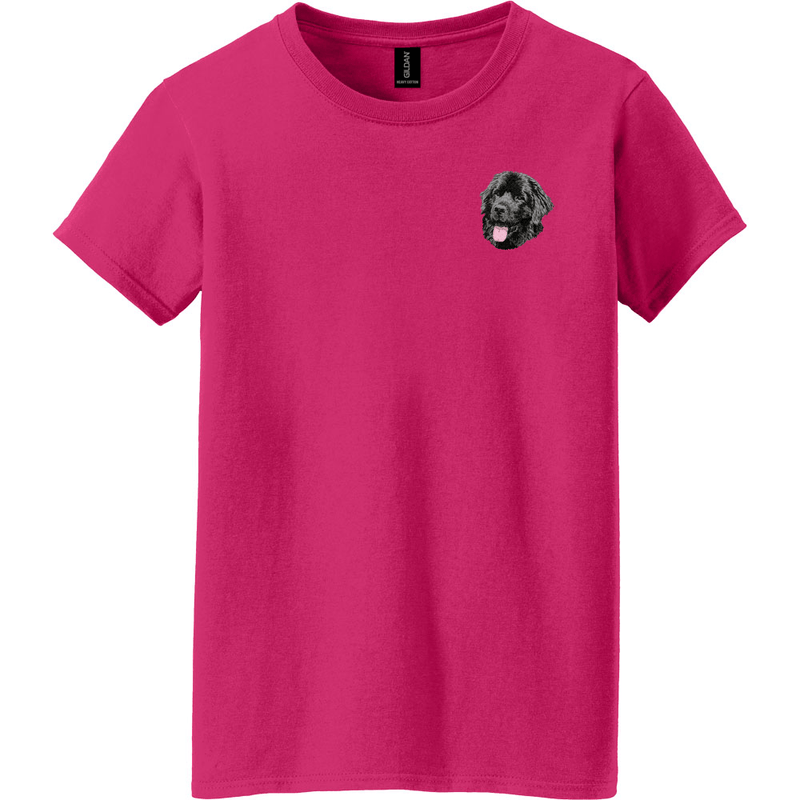 Newfoundland Embroidered Women's T-Shirt