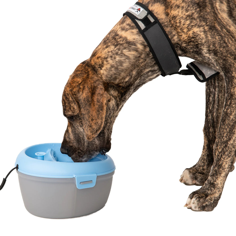 Healthspring Pet Fountain