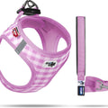 Curli Vest Air-Mesh Dog Harness & Dog Leash