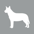 Australian Cattle Dog - Beanie