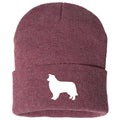 Border Collie - Beanie