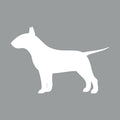 Bull Terrier - Beanie
