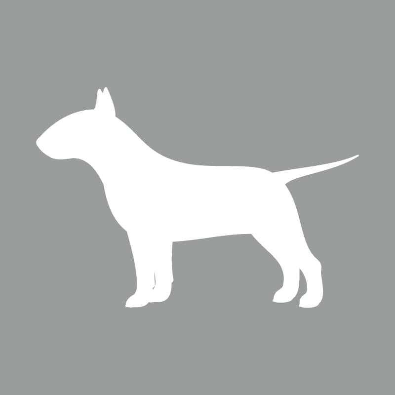 Bull Terrier - Beanie