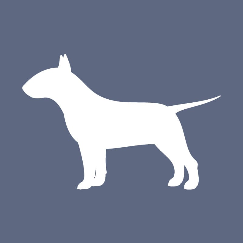 Bull Terrier - Beanie