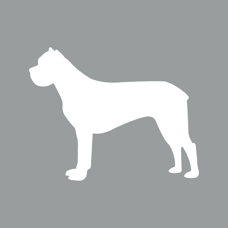 Cane Corso - Beanie