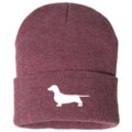 Dachshund  Beanie