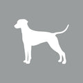Dalmatian - Beanie