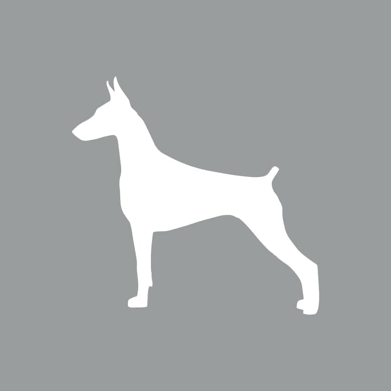 Doberman Pinscher Beanie