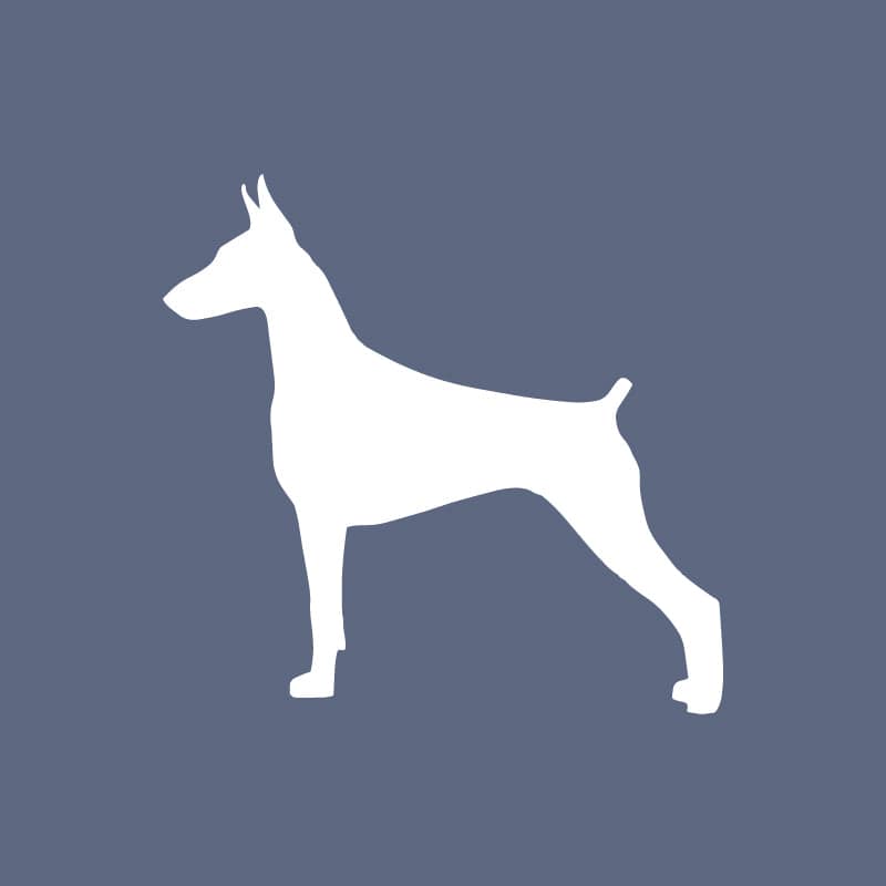 Doberman Pinscher Beanie