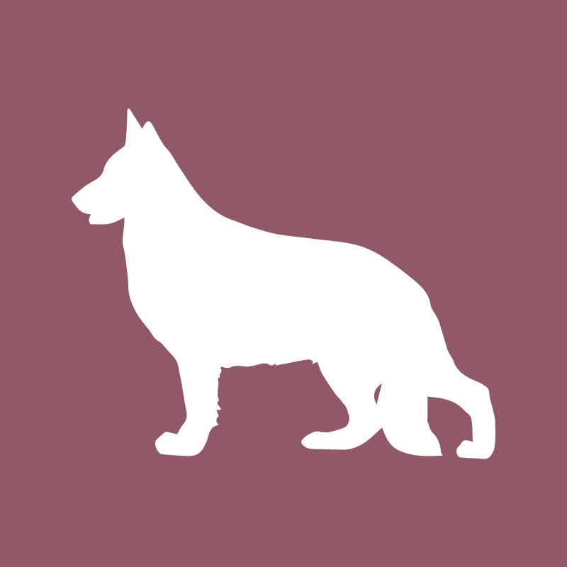 German Shepherd Dog Beanie
