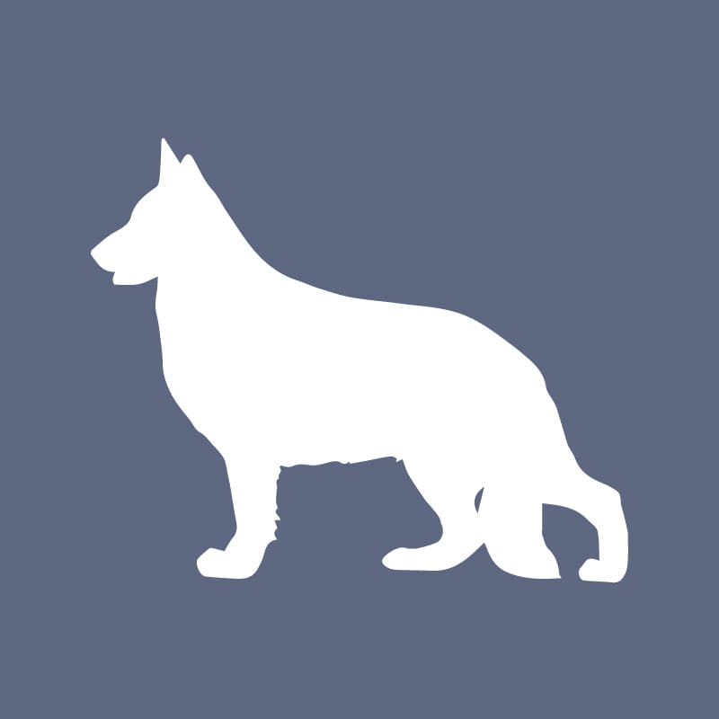 German Shepherd Dog Beanie