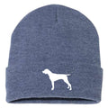 German Shorthair Pointer - Beanie