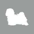 Havanese - Beanie