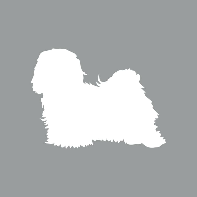 Havanese - Beanie