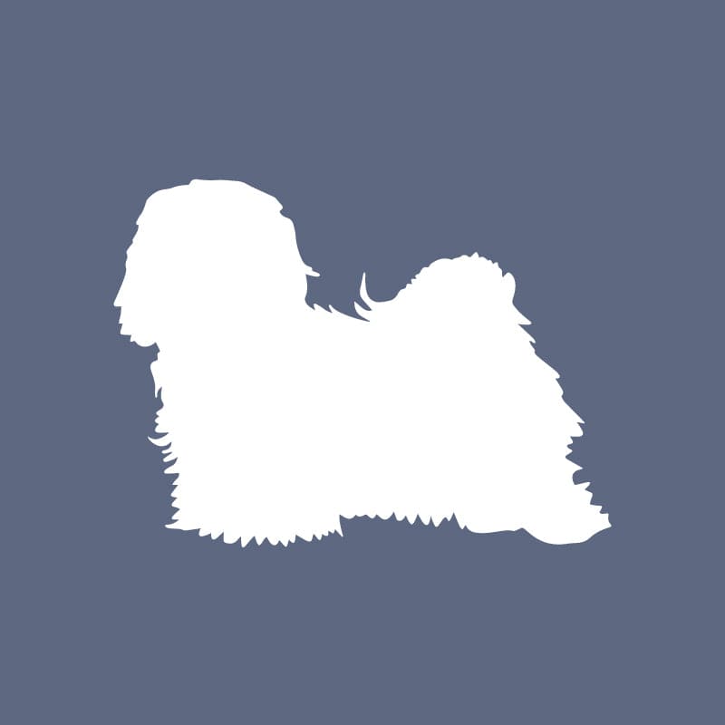 Havanese - Beanie