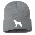 Labrador Retriever - Beanie