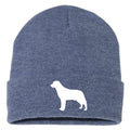Labrador Retriever - Beanie