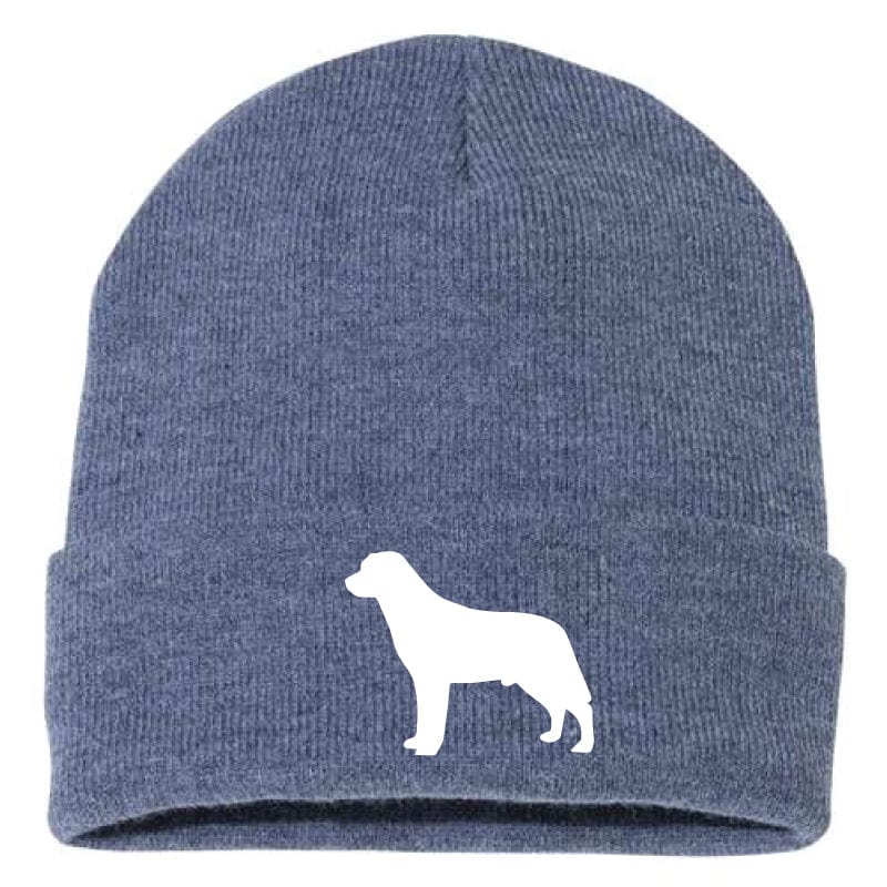 Labrador Retriever - Beanie