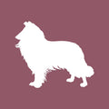 Collie Beanie