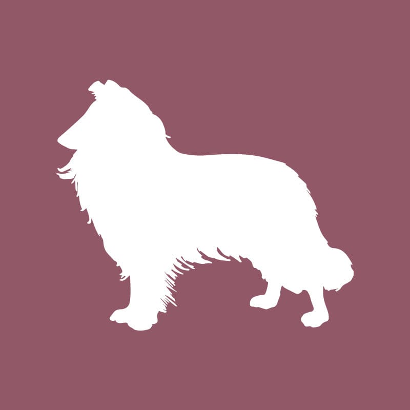 Collie Beanie