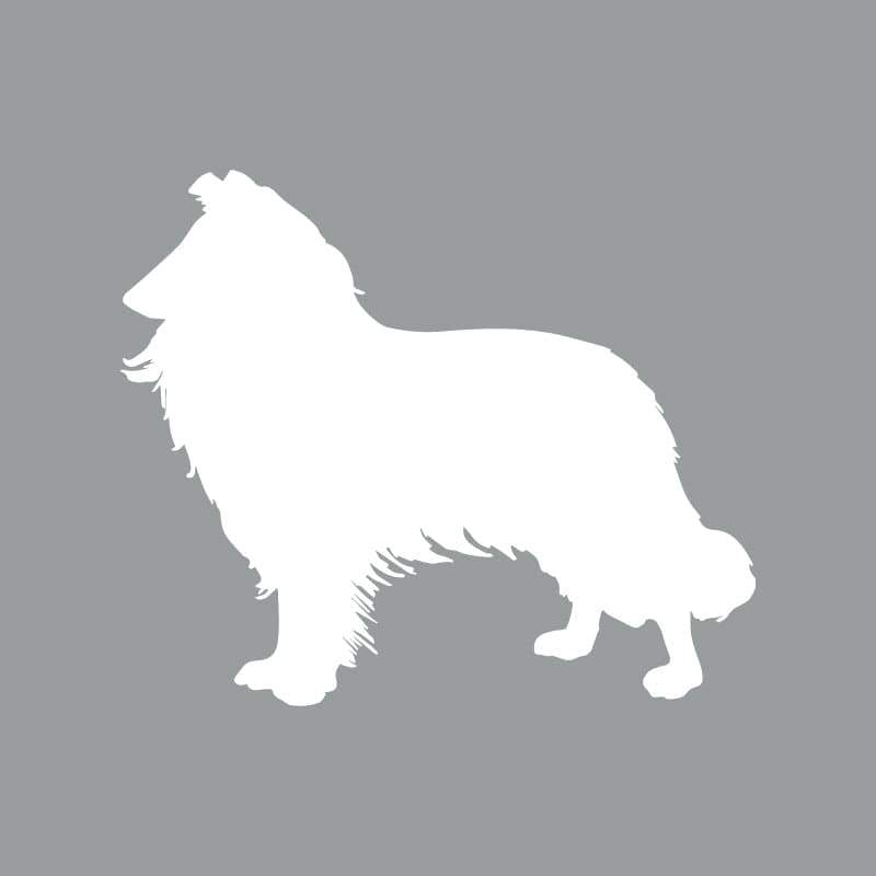Collie Beanie