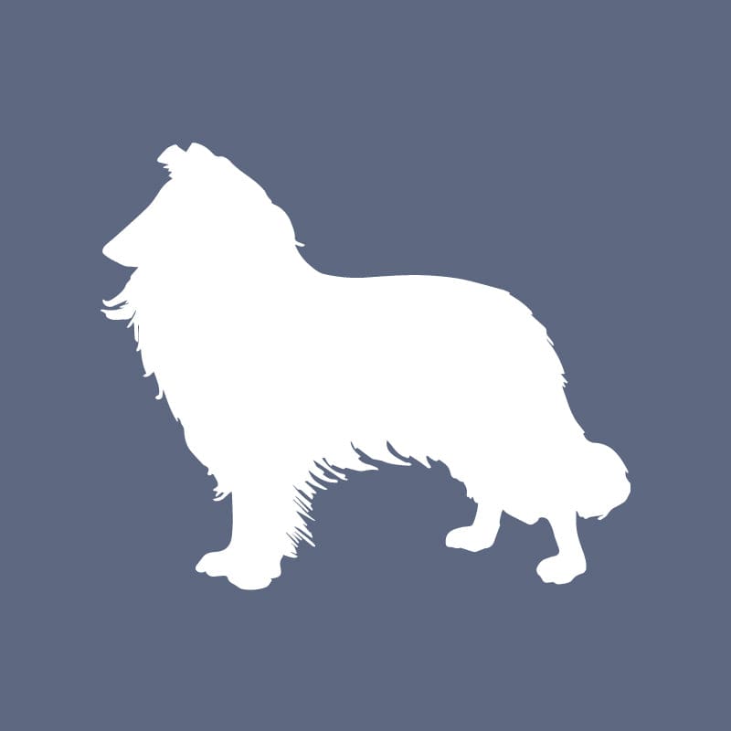 Collie Beanie