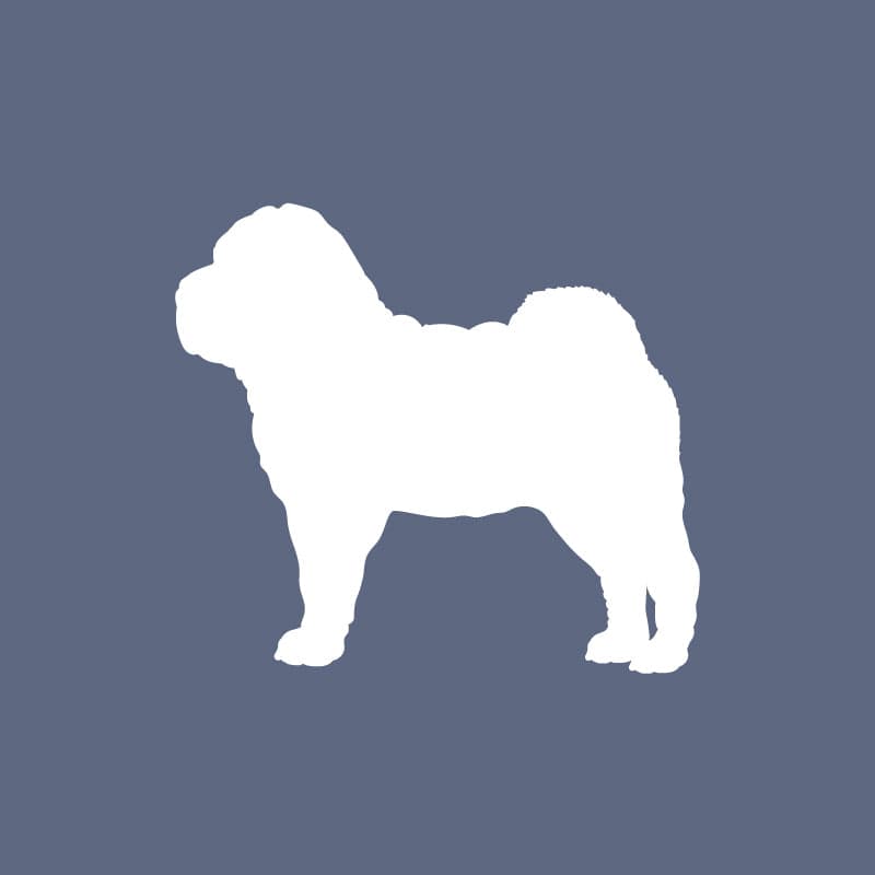 Shar-Pei - Beanie