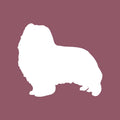 Shetland Sheepdog - Beanie
