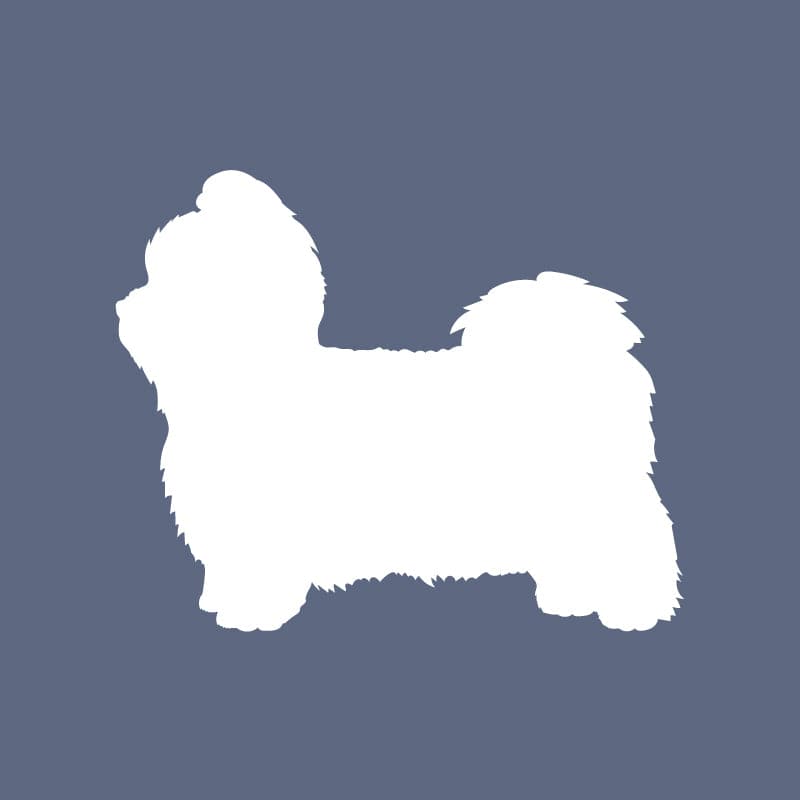 Shih Tzu - Beanie