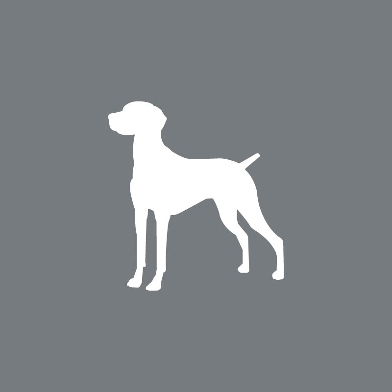 Vizsla - Beanie