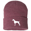 Weimaraner - Beanie