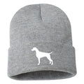 Weimaraner - Beanie