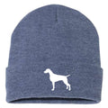Weimaraner - Beanie