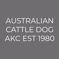Australian Cattle Dog Embroidered AKC Men's Polo