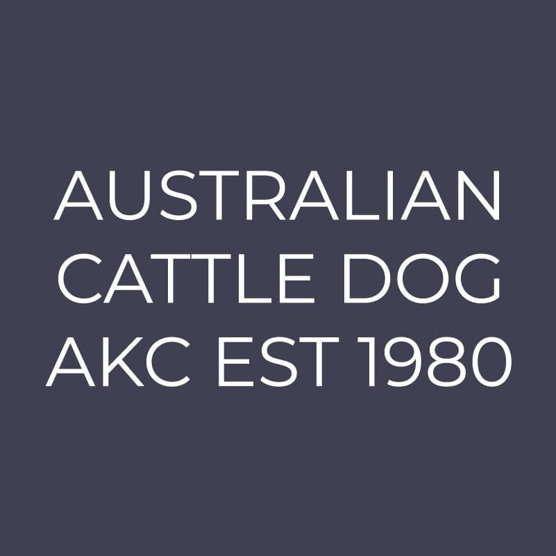 Australian Cattle Dog Embroidered AKC Men's Polo