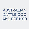 Australian Cattle Dog  Embroidered AKC Women's Polo