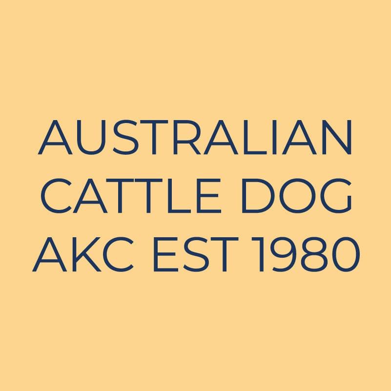 Australian Cattle Dog Embroidered AKC Quarter Zip