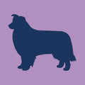 Border Collie Infant Onesie