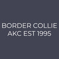 Border Collie Embroidered AKC Quarter Zip