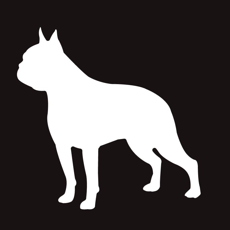 Boston Terrier AKC Embroidered Visor