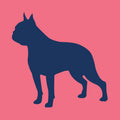 Boston Terrier - Youth Full Zip Sweatshirt